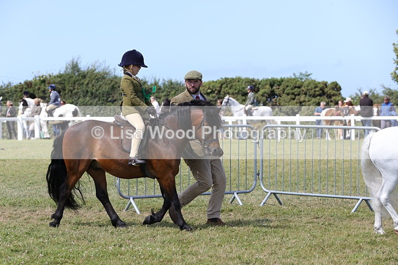 1X9A5308 - Class 36: NPS M&M Lead Rein