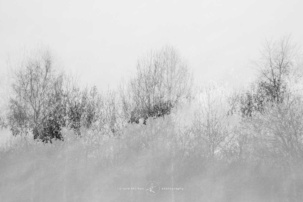 Step three - Revealed