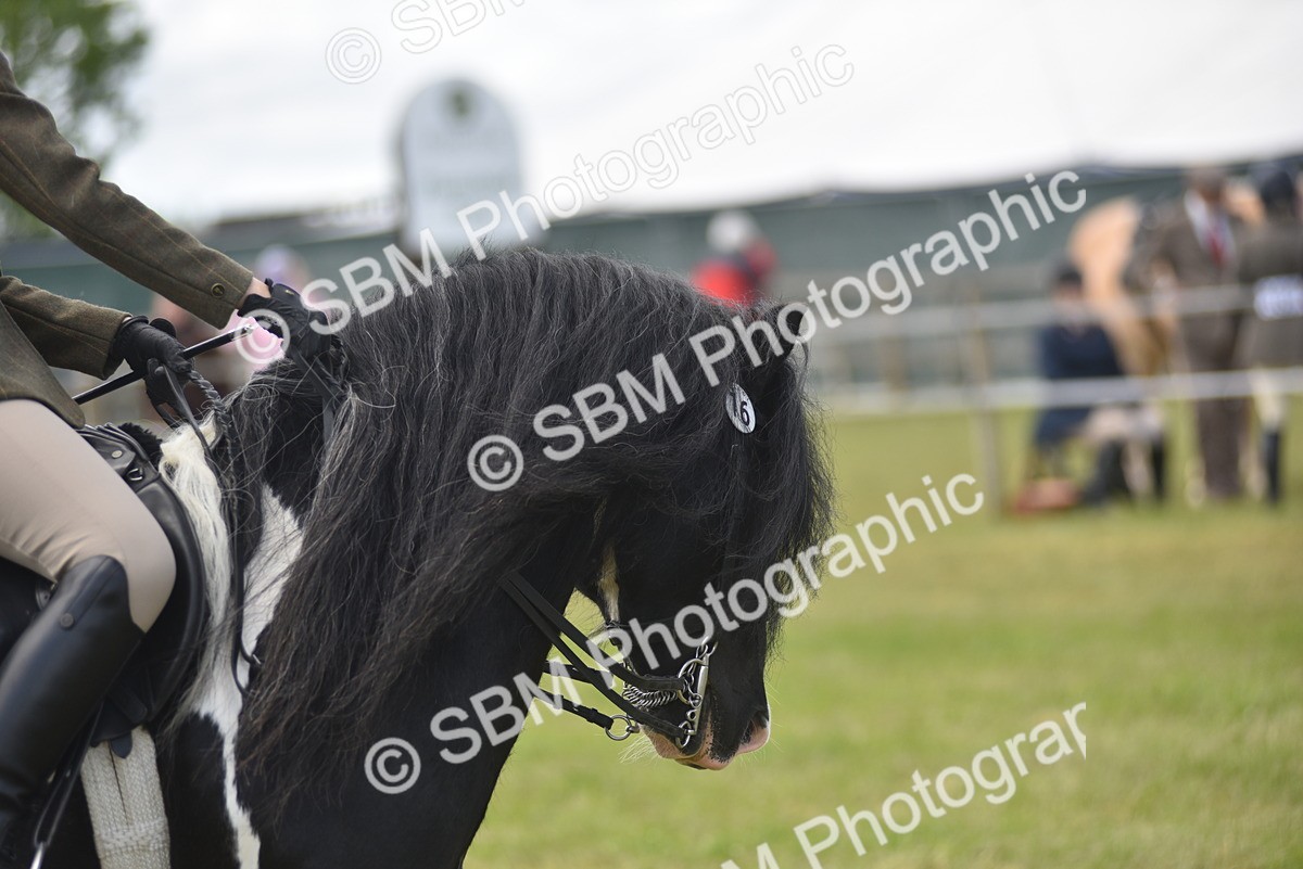 SBM_15903 - Class 117-122 - SSADL RIHS Qualifier