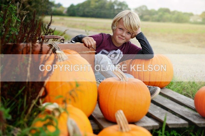 DSC_8774-3 copy - SEASONAL OUTDOOR SHOOTS - PUMPKINS