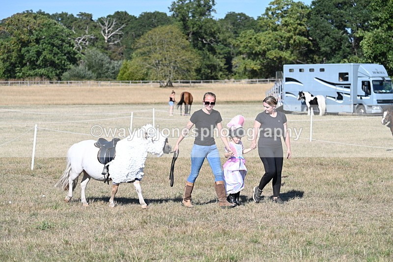 WJ7_2753 - Class 45 Fancy Dress (My Fav)