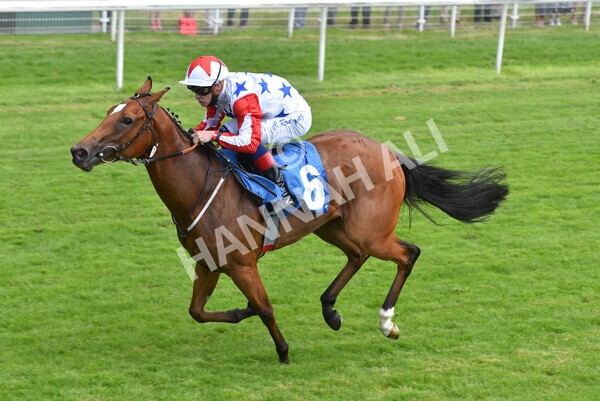 yr09072021r3-20 - Race 3 3.15pm William Hill Pick Your Places Irish EBF Novice Stakes