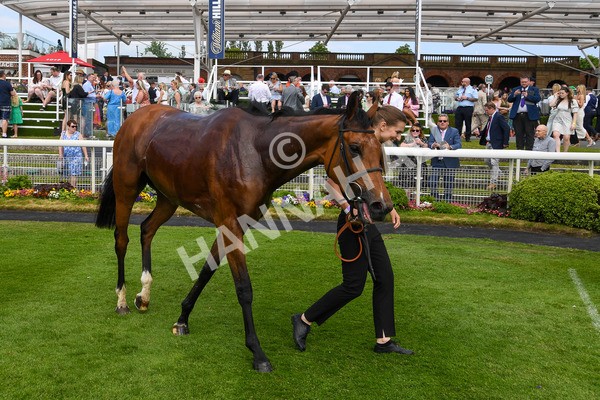 270523-Race 4-River of Stars-0353 - Race 4 3.15pm William Hill Bronte Cup Fillies' Stakes