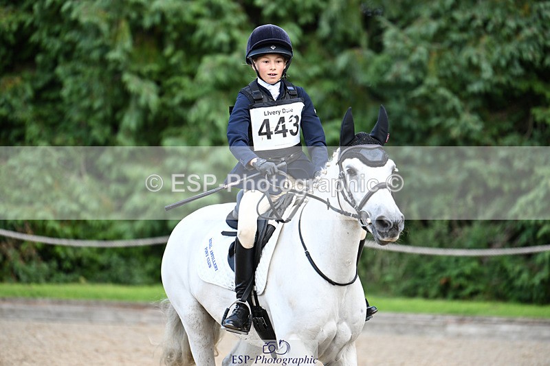 240824X-154812-29768 - 80cm Round 2 15.30 to 16.50