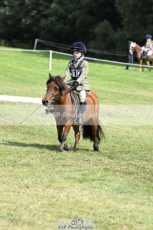 250822A-115726-22475 - DR 11.00 to 12.00