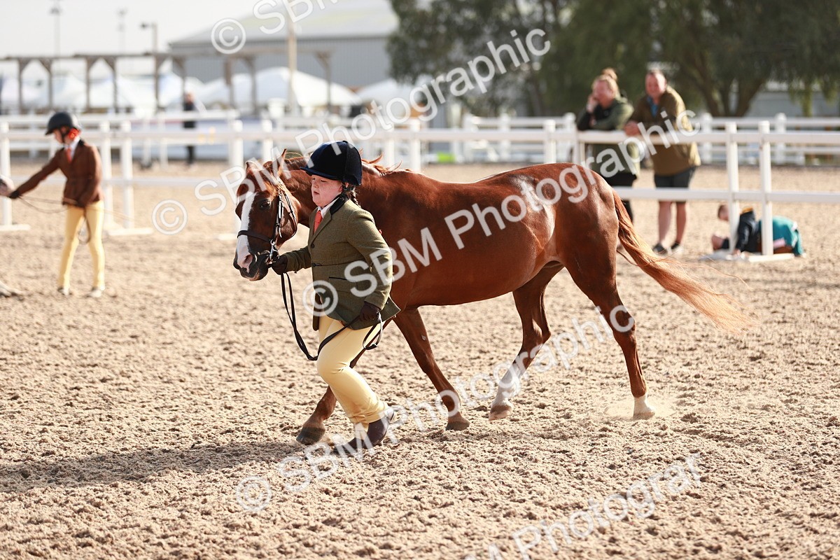 SBM_09882 - Class 203 Young Handler, 10 years and under