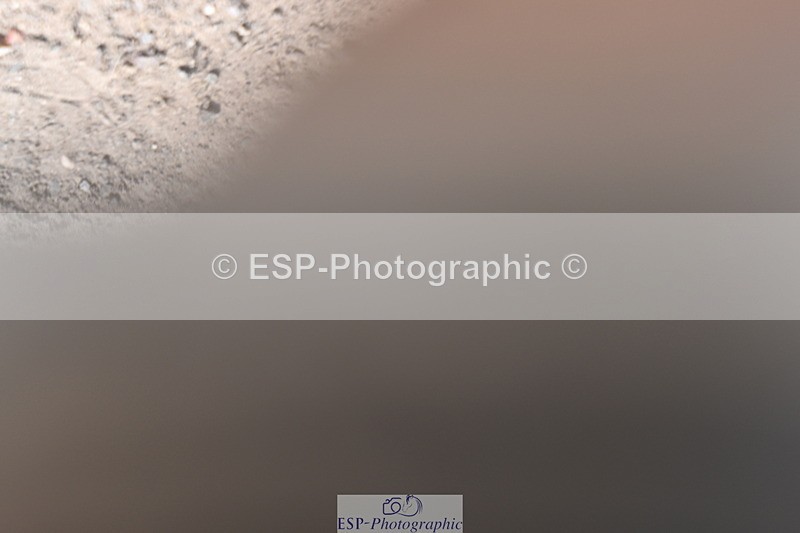 240801A-124916-01645 - Cls 11 1.10m Amateur Qualifier