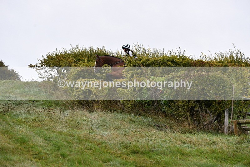 WJ5_5516 - Time 10:05 to 10:30  (3 cameras)