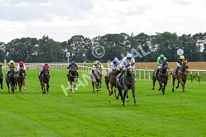 090824-Race 6-Calafrio-4829 - Race 6