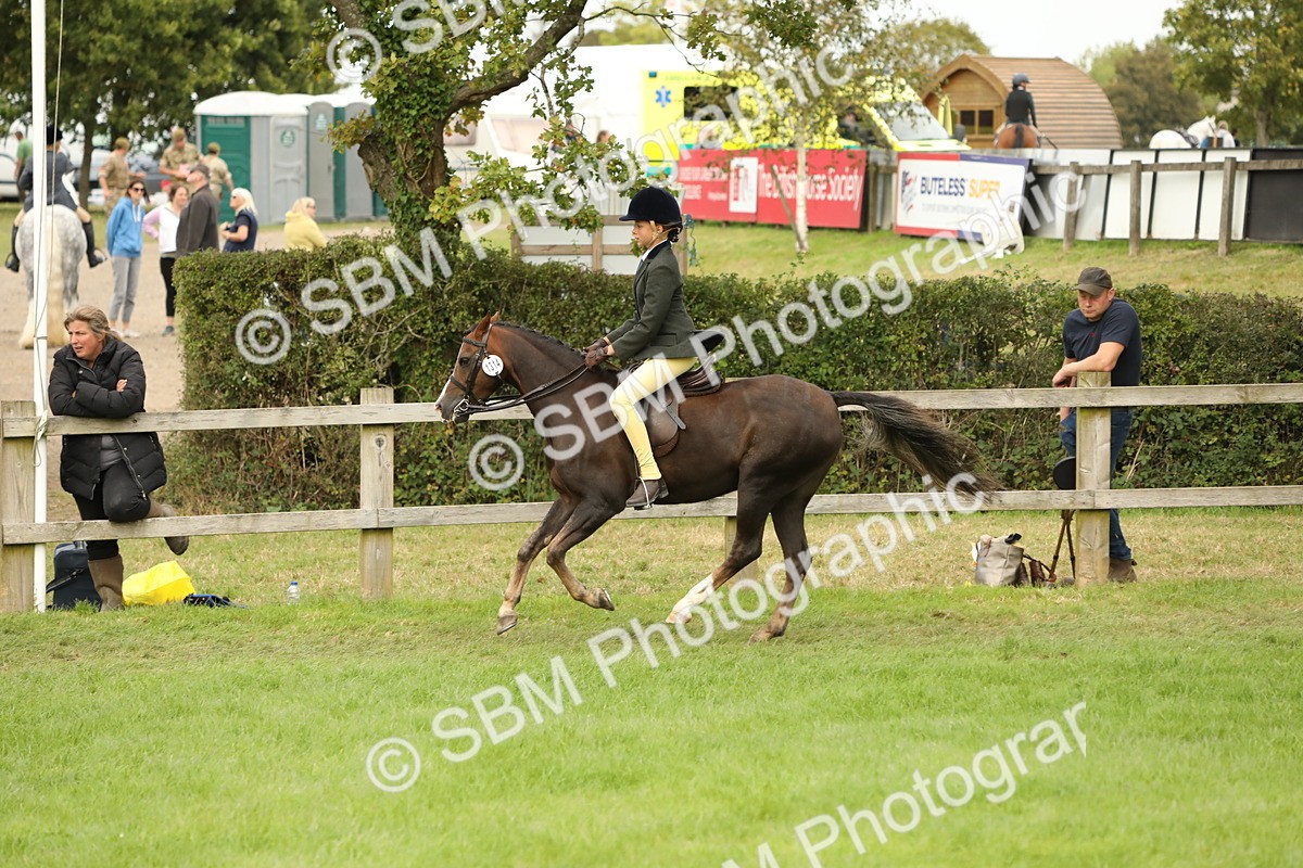 SBM_71656 - S41 - Ridden Equitation (Best Rider)