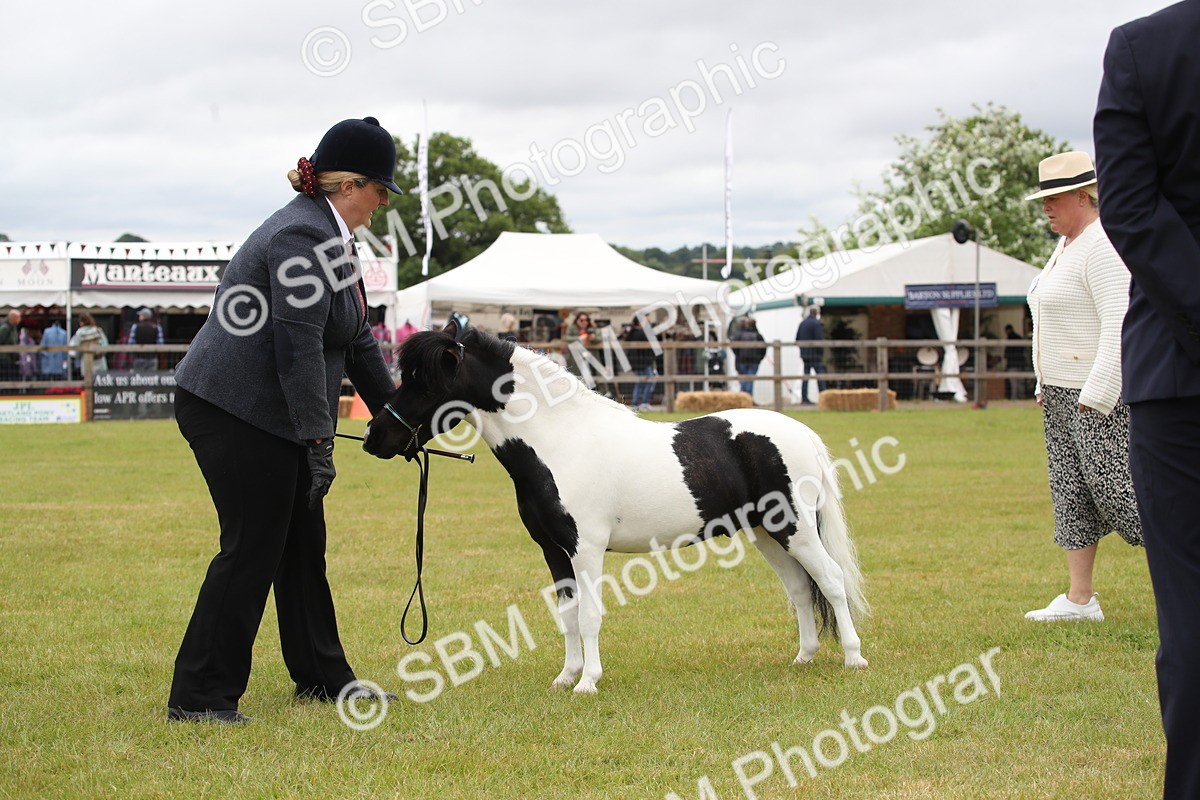 SBM_03813 - Class 23-25 - British Miniature Horse of the Year