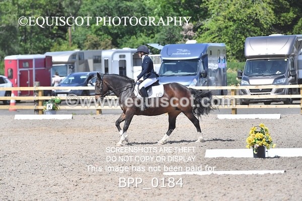 BPP_0184 - SHORT ARENA  MY QUEST PRELIM