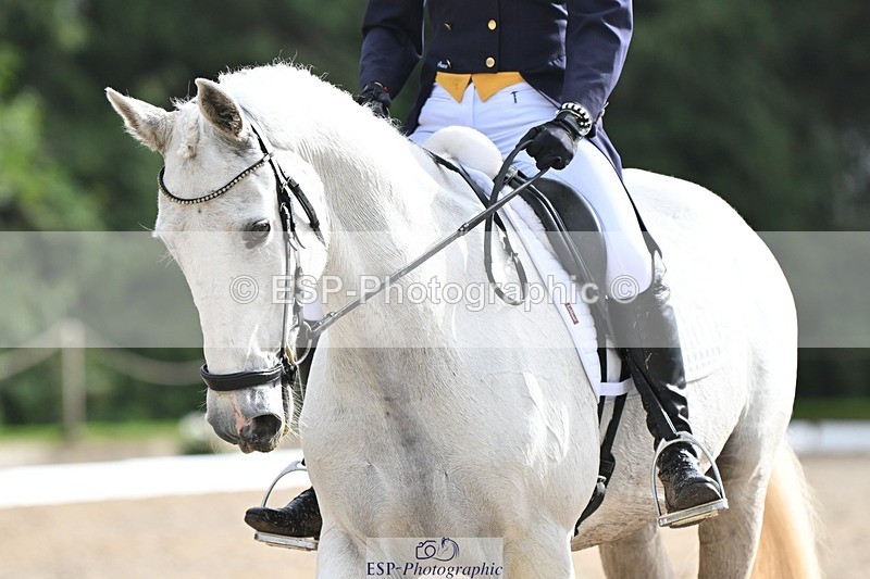 231019-144242-04582 - 126-DERRYS.LADY.LOU-Debbie.Townsend-DR