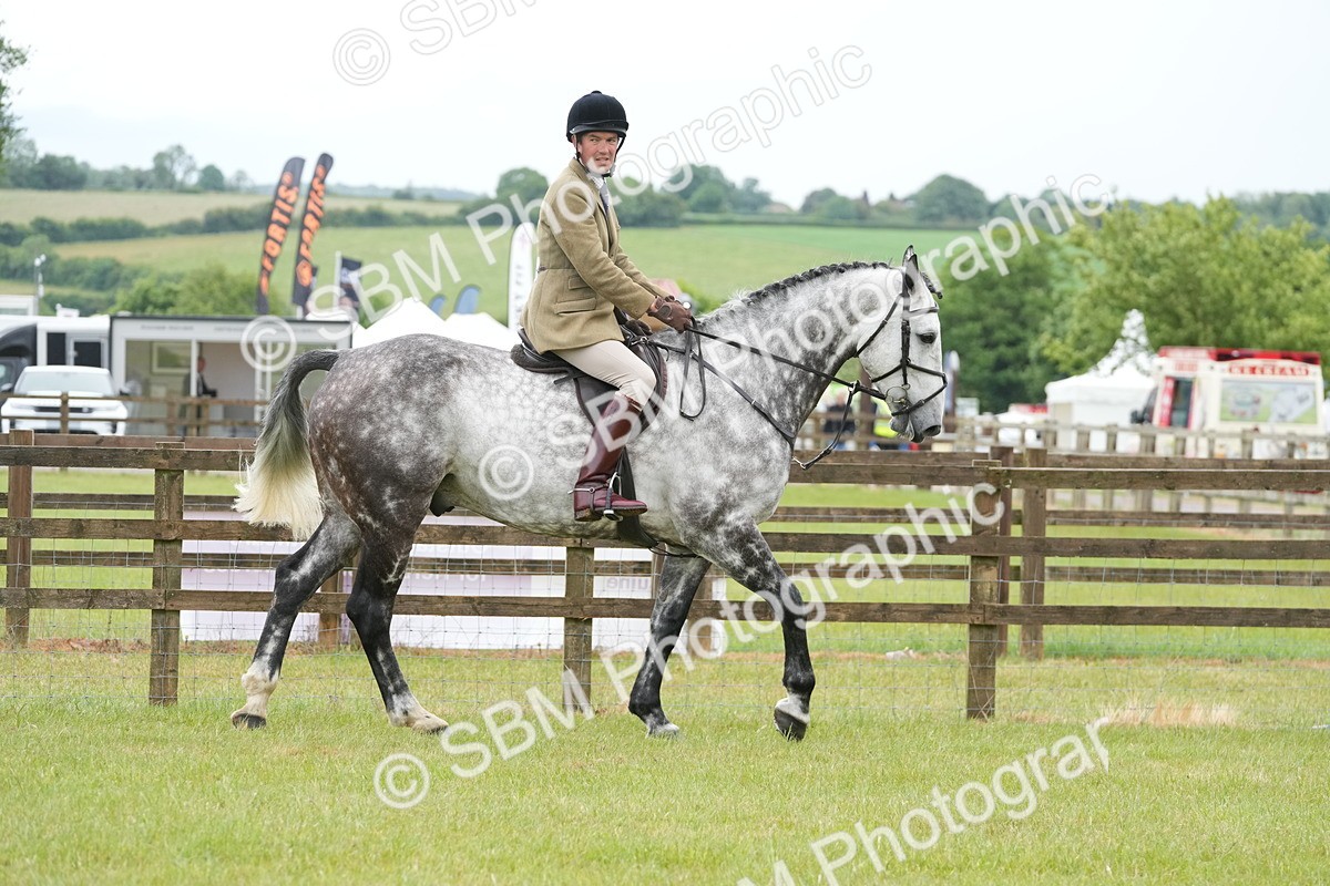 SBM_12844 - Class 97-98 - LIHS BSHA Rising Star Working Show Horse Hunter