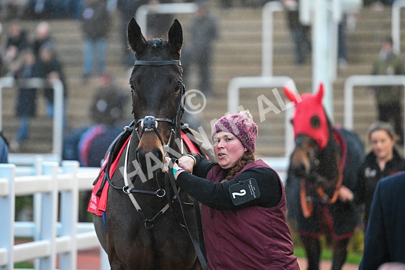 161124-Race 7-Paddock-Crying Lightning-1705 - Race 7