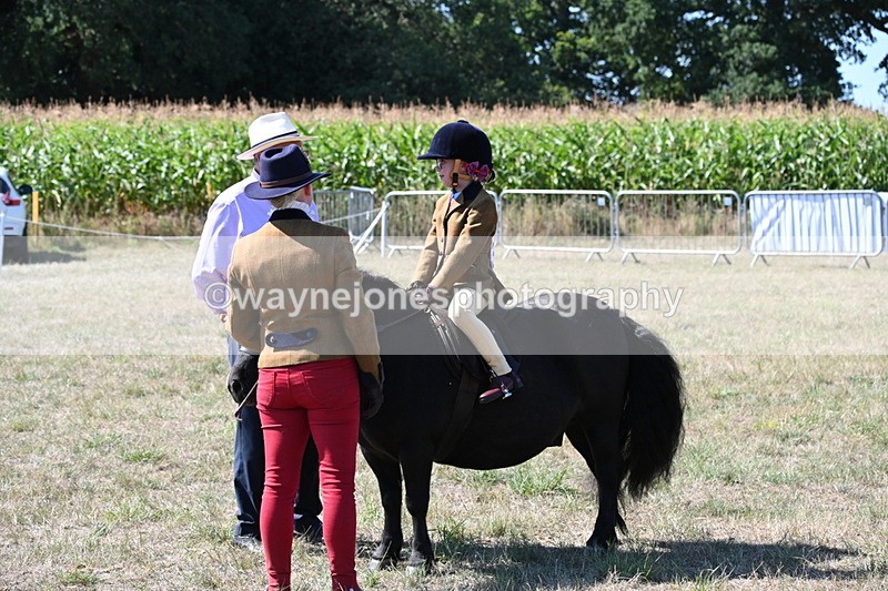 WJ6_8073 - Class 36 Lead Rein