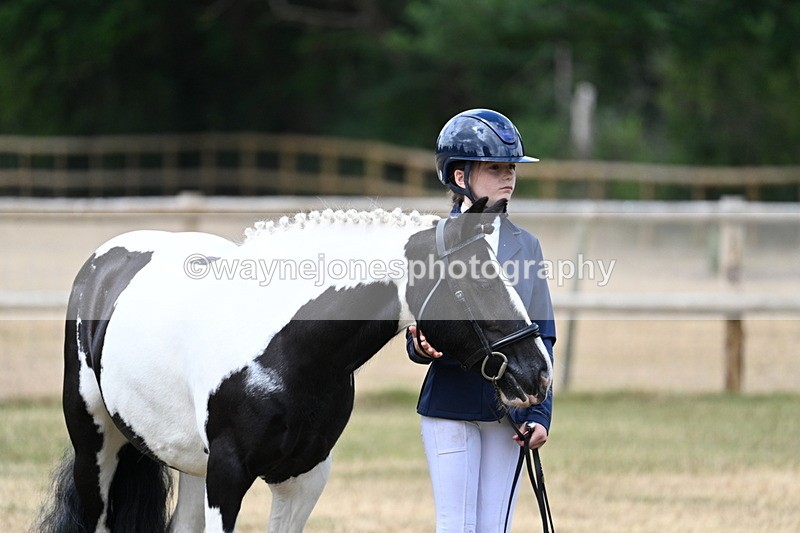 WJ7_1516 - Class 4 Prettiest Mare up to 14.2hh in hand