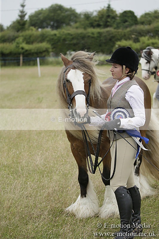 B230619-0857 - Bourne Valley Riding Club Summer Show 23/06/19