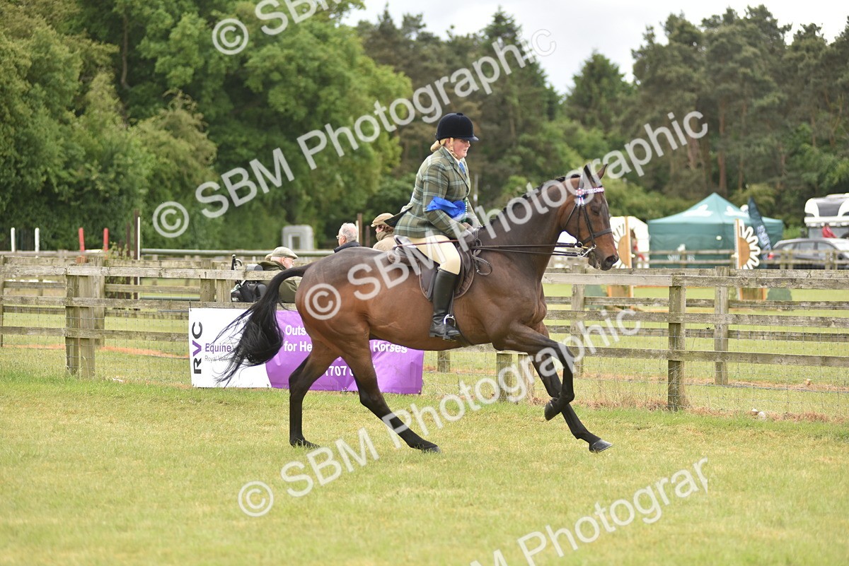 SBM_14284 - Class 113-114 - Retraining of Racehorses Ridden