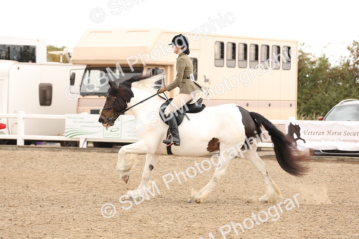 SBM_06696 - Class 58a -  Style & Performance - 70cm (15-19)