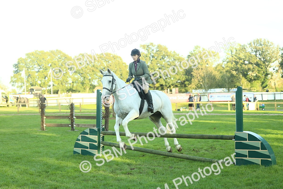 SBM_55577 - S14 - Riding Club Horse