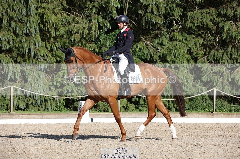 230526-174520-08025 - 181-AMIRO_ISLAND-Harry_Meade-WEDTrotUp+DR