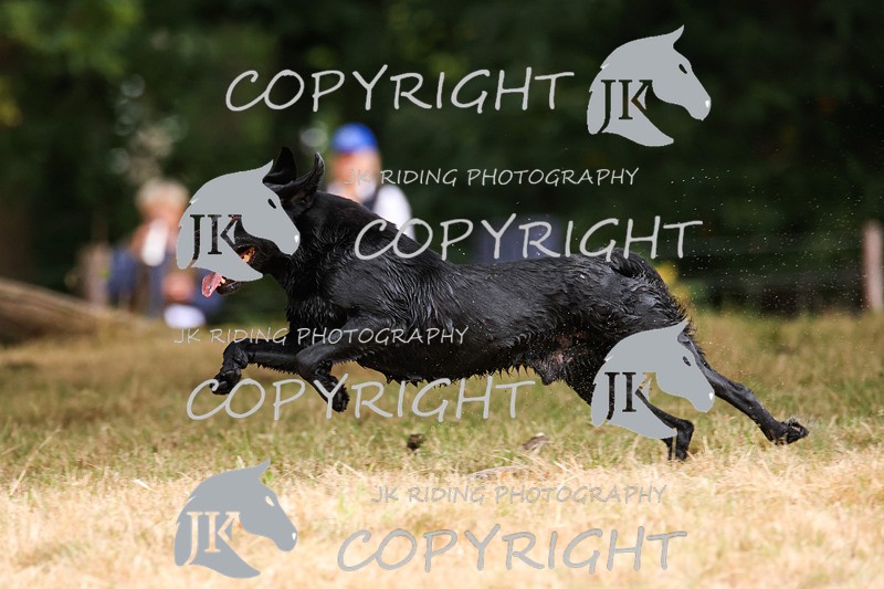 2R6A3496 - ​TEAM A: BORDER COUNTIES & COTSWOLDS 1-2-3
