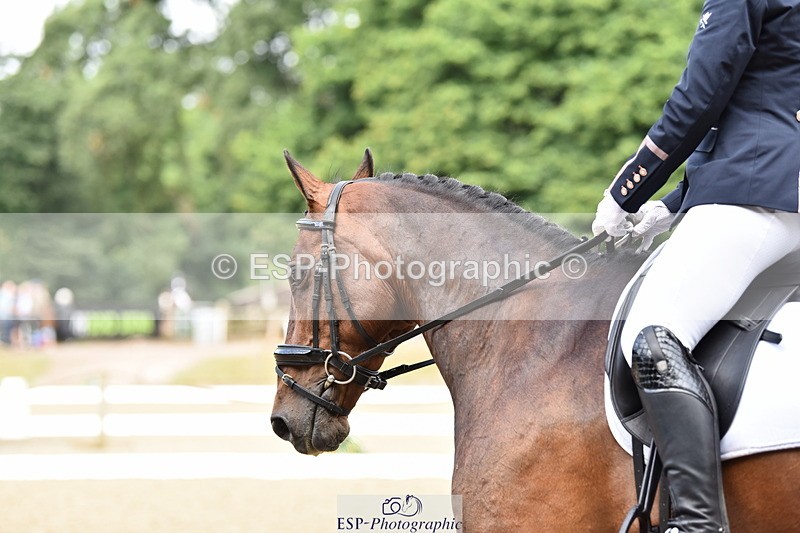 140109A-225026-08304 - 003-Lena.Lee-Ardlea.Chuck