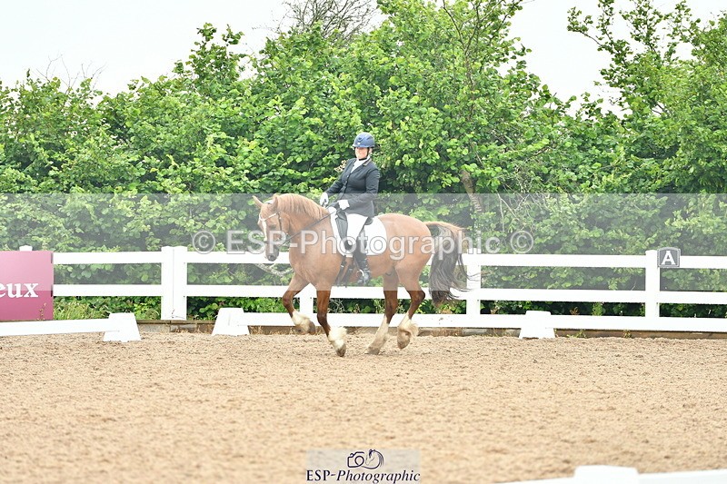 230708A-135324-02857 - Elementary 43