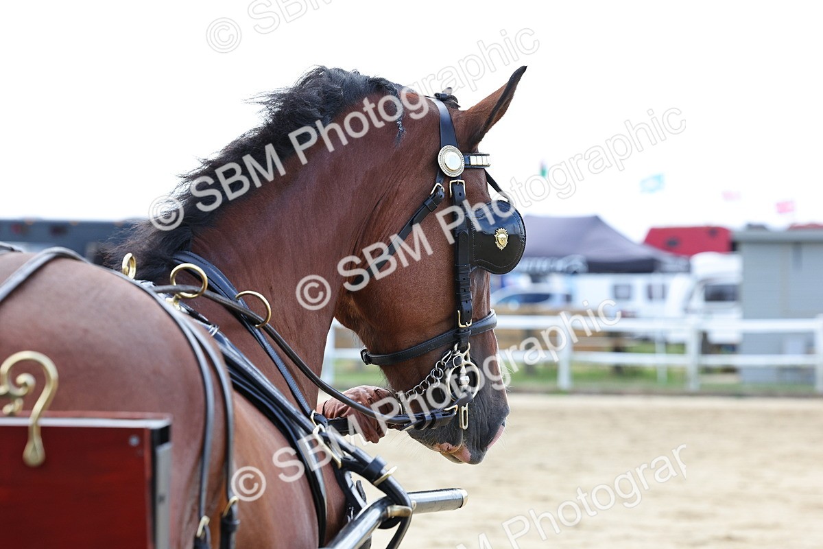 SBM_000801 - Class 6 - Exercise Vehicle 13.2 and over