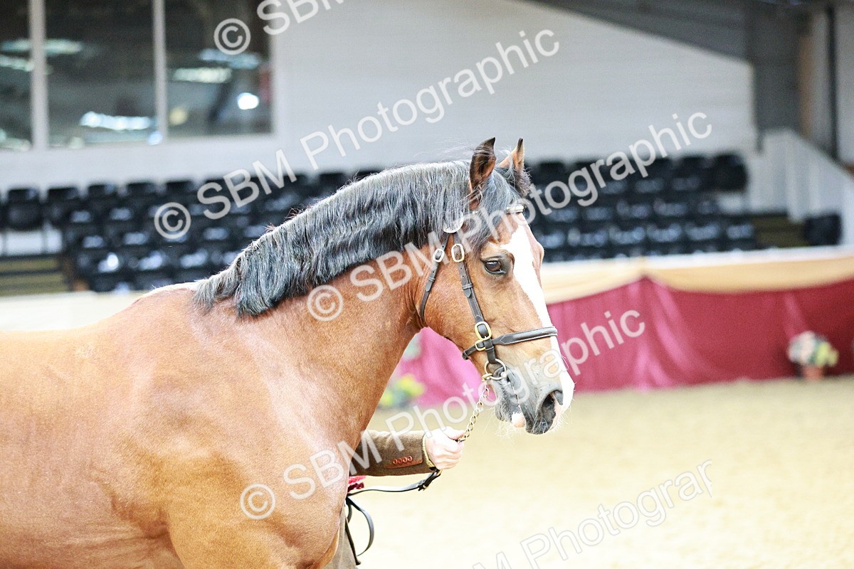 SBM_01383 - Class 3A - Area IH Pre-Vet