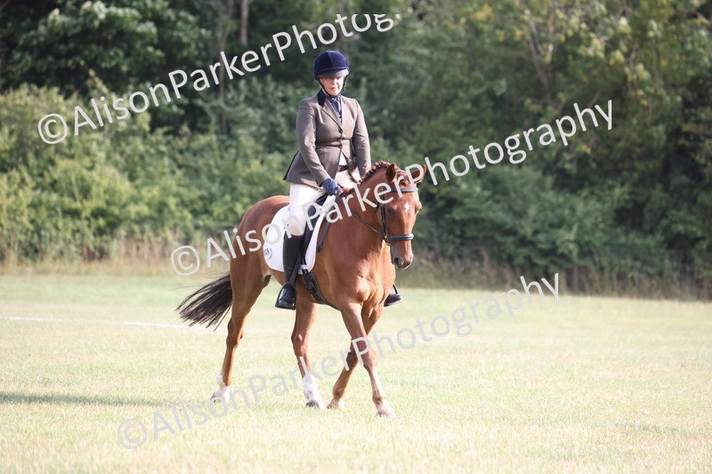 20250731-0006 - Class 2 - Prelim 3