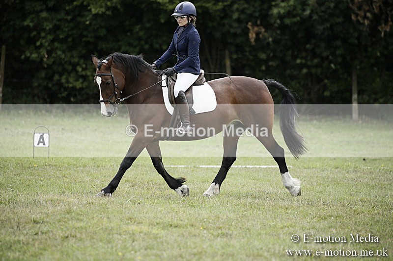 BVR080918 239 - BVRC Novice Dressage & CR 08/09/18