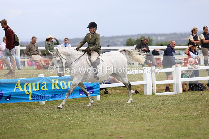 3E7A1021 - Class 8: Open Riding Horse/Hack