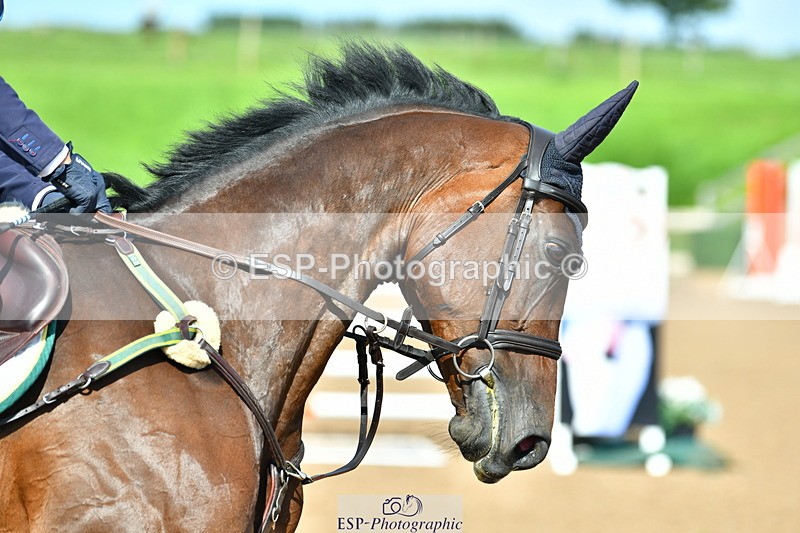 230811A-155620-06023 - Cls 24 Nat 1.30m Open