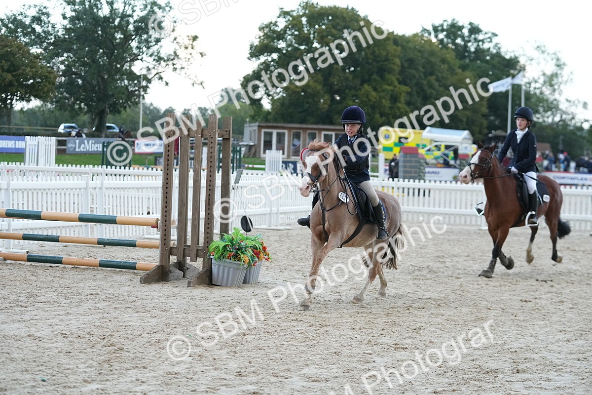 SBM_54266 - Supreme Championship 60cm 65cm