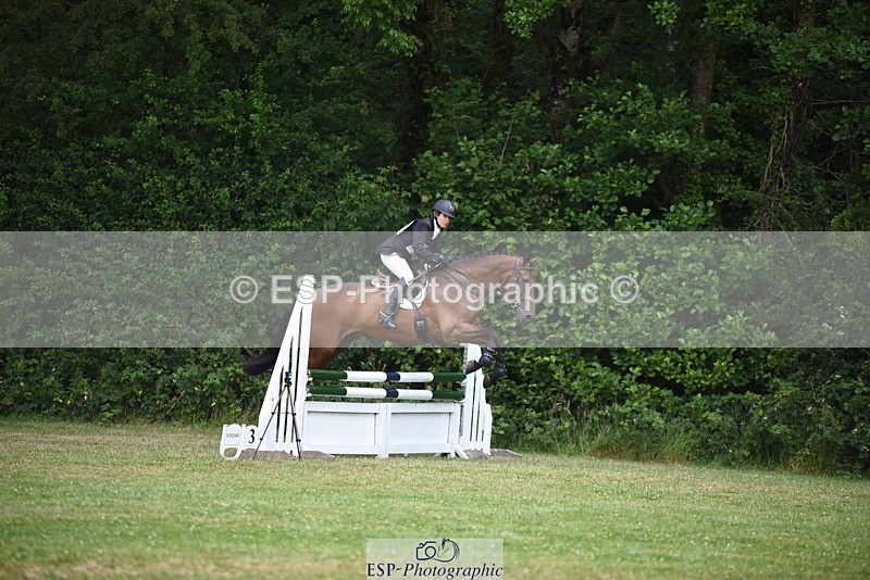 240630-114946-00510 - 915-Amanda_Wreford-Brown-Midsummer_Dazzle