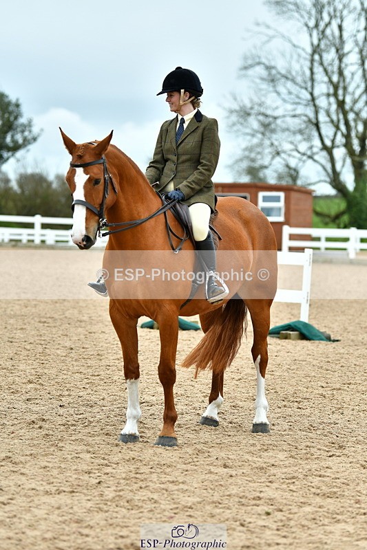 230416A-143450-05271 - Cls 74 Warmblood