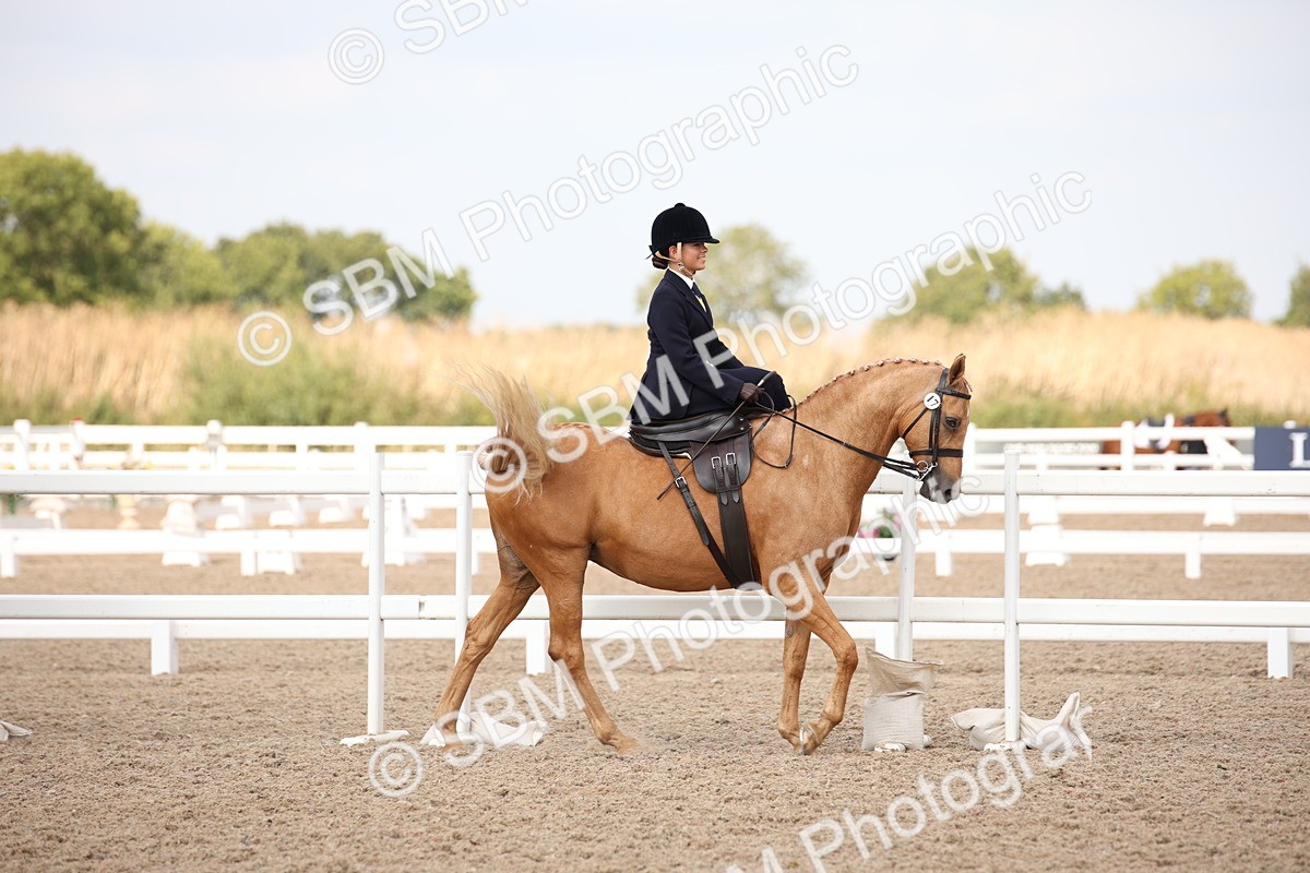 SBM_06771 - Class 24 Concours d'elegance