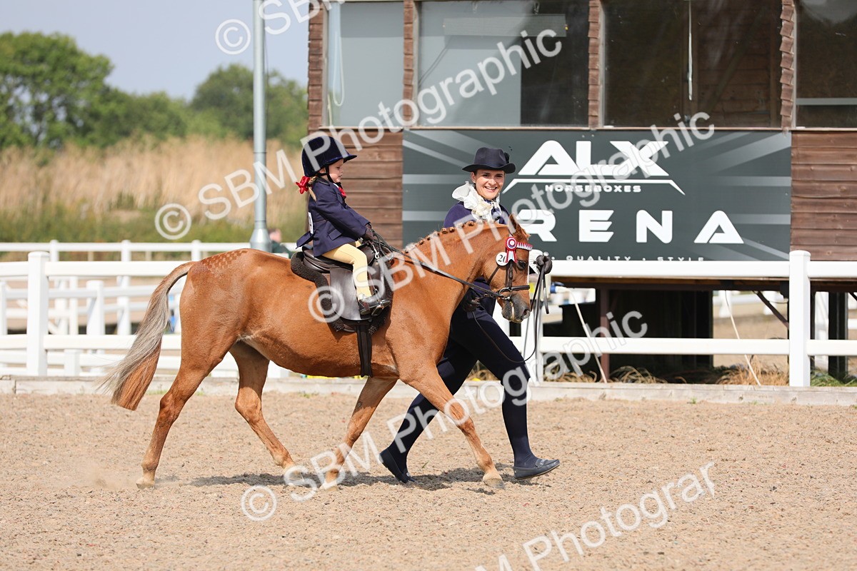SBM_14003 - Class 309 Lead Rein Pony