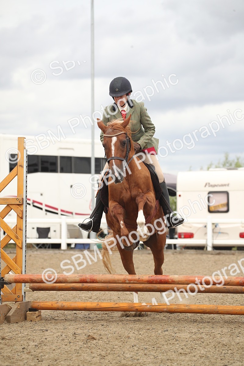 SBM_16753 - Class 507b - Working Veteran 60cm (20+)