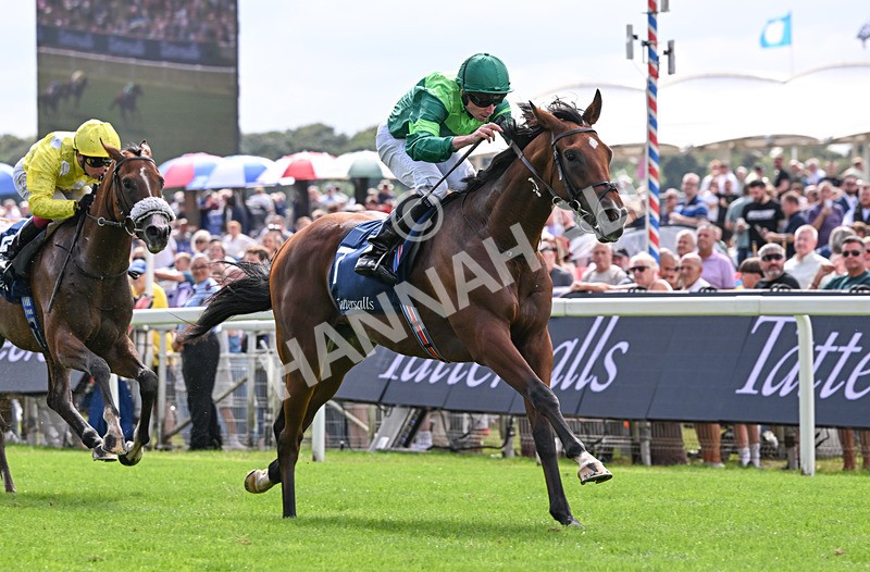 190826-043 Haffner - Race 2 14.25pm Tattersalls Acomb Stakes