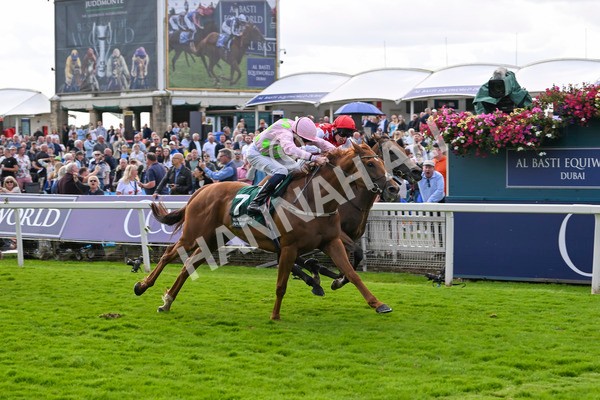 230824-Race 2-Vauban-8948 - Race 2 2.25pm Weatherbys Hamilton Lonsdale Cup Stakes