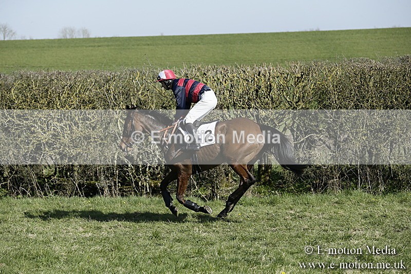PtP 250317 206 - V.W.H. Hunt Point-to-Point Siddington 25/03/17