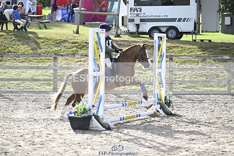 240822X-172008-12931 - 40cm A R2 16.16 to17.26