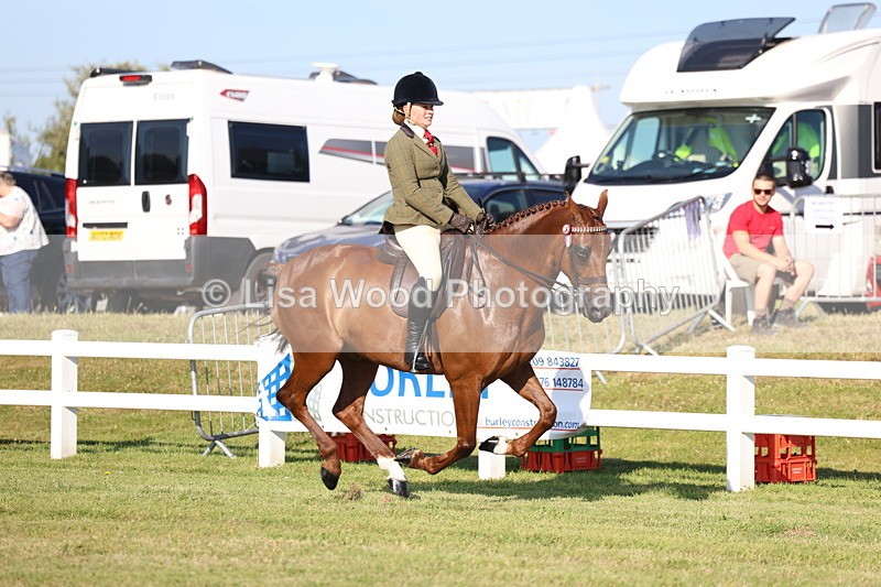 3E7A5082 - Class 1: Rising Star Small Hack/Riding Horses
