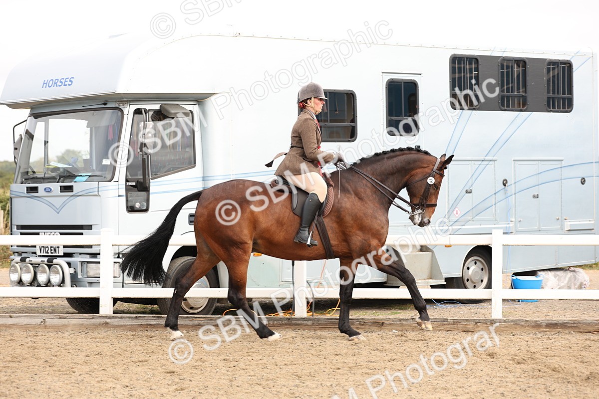 SBM_01652 - Class 52 - Ridden Veteran