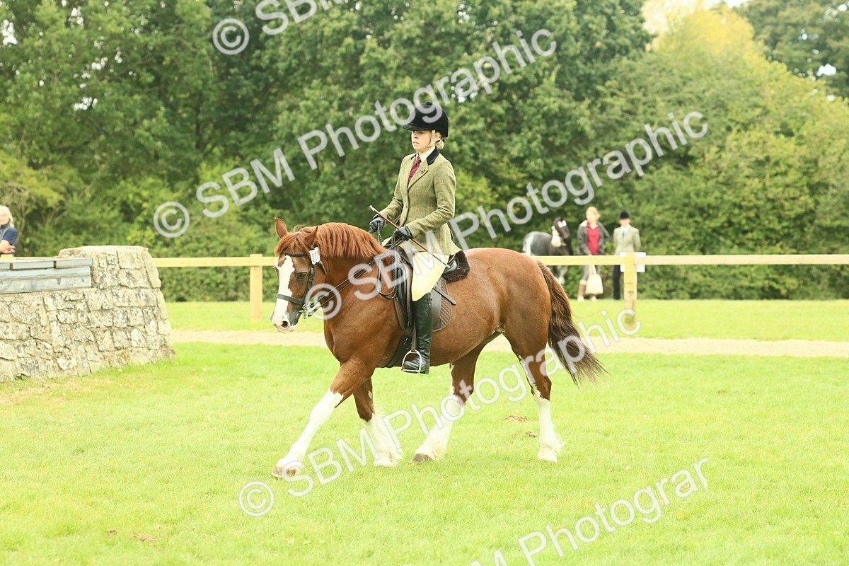 SBM_72134 - S60 - Mountain & Moorland Ridden Large Breeds
