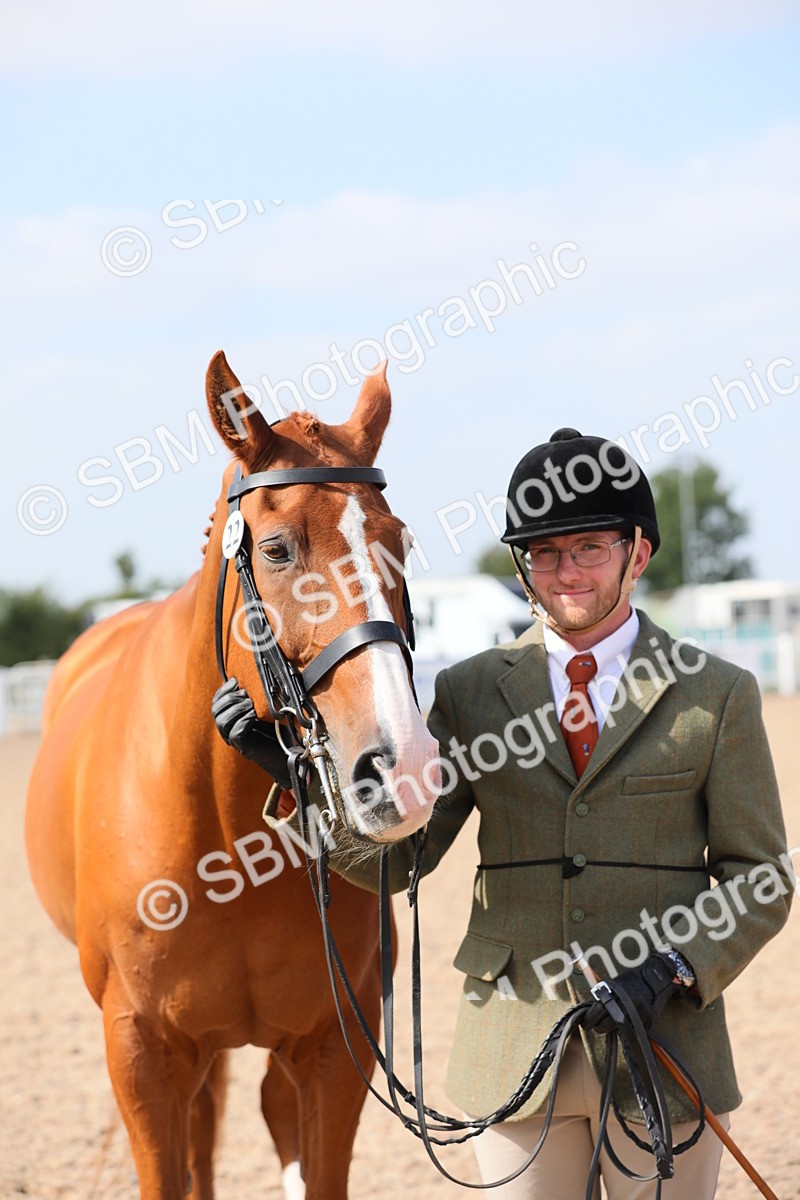 SBM_15754 - Class 312 IH Competition Horse/Pony