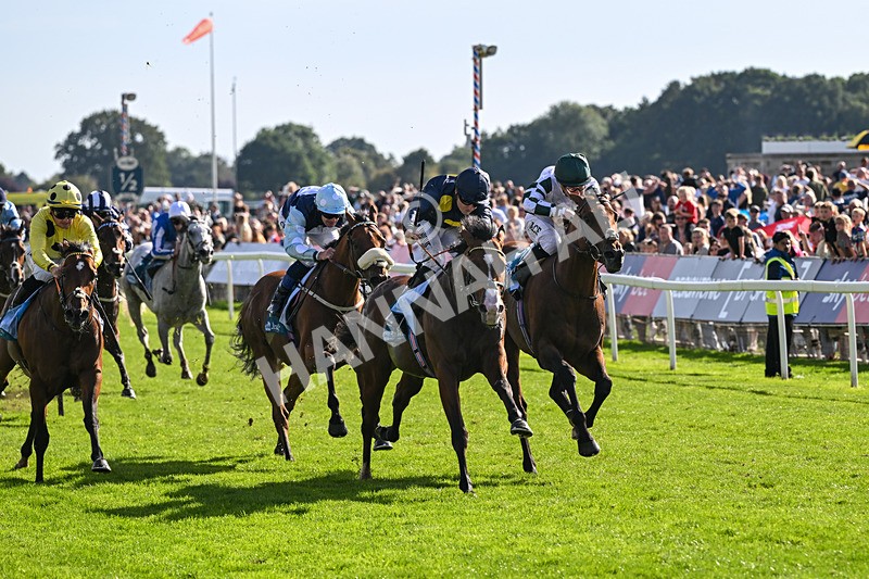 060926-Race 5-Extremely Zain-8390 - Race 5 3.50pm Starman At Tally Ho Stud Garrowby Stakes